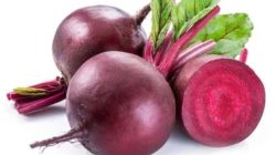 Manfaat Buah Bit